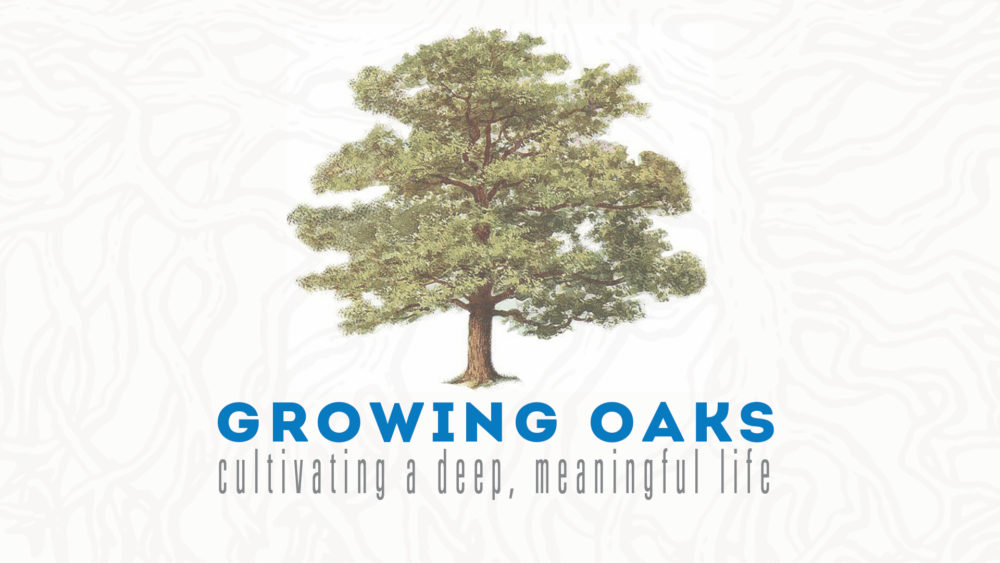 Growing Oaks - cultivating a deep, meaningful life